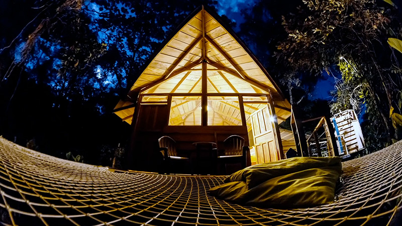 Free Range Humans “The Jungle Engineer”